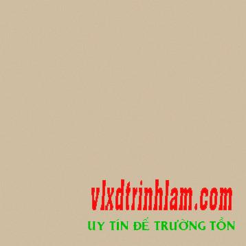 Gạch Viglacera TS5-602