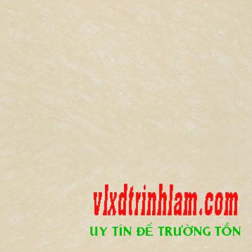 Gạch Đồng Tâm 6060MAMOL002-NANO