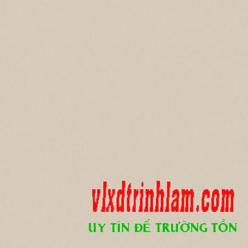 Gạch Viglacera TS5-601