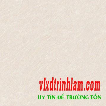 Gạch Đồng Tâm 6060BINHTHUAN001