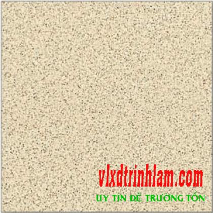 Granite Thanh Thanh 60x60 SB6030
