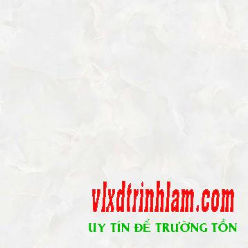 Đá bóng kiếng toàn phần Ý Mỹ N68009