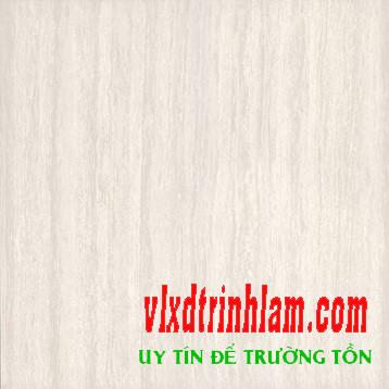 Gạch Viglacera TS3-617