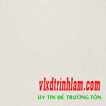 Gạch Đồng tâm 6060DB034-NANO