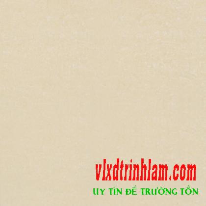 Gạch Đồng tâm 6060DB006-NANO