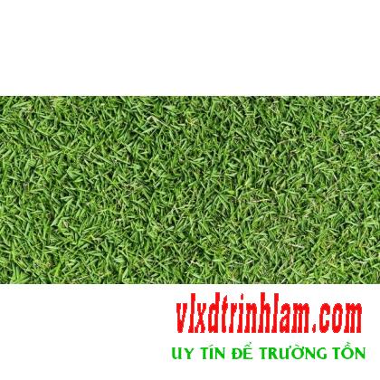 Đá mờ Đồng Tâm Greenery001