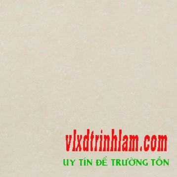 Gạch Đồng tâm 6060DB014-NANO