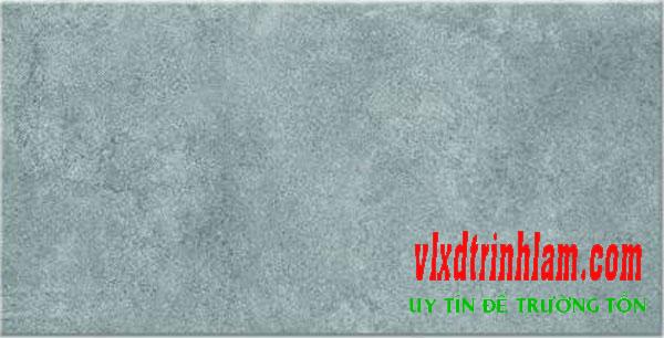Gạch ốp tường Viglacera 300x600mm MDK362008