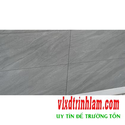 Gạch ốp tường Viglacera 300x600mm MDP363002