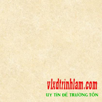 Gạch Đồng Tâm 6060BINHTHUAN002