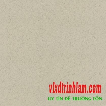 Gạch lát sân đá Granite Thanh Thanh 40x40 GD4030