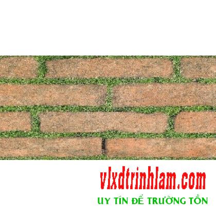 Đá mờ Đồng Tâm Greenery008