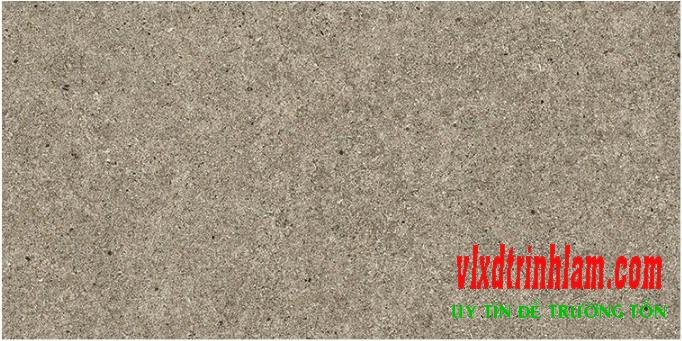 Gạch Granite Bạch Mã H36022