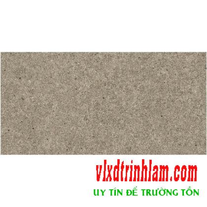 Gạch Granite Bạch Mã H36022