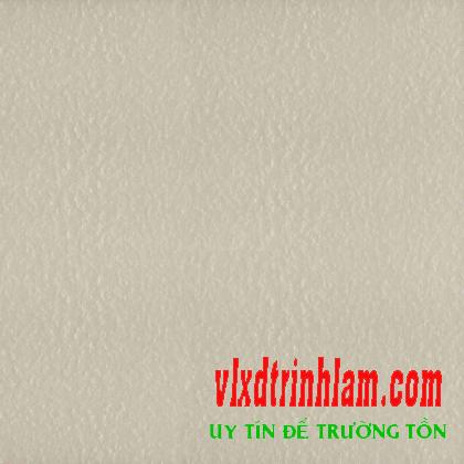 Gạch lát sân đá Granite Thanh Thanh 40x40 CTG4600