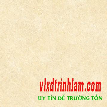 Gạch Đồng Tâm 6060BINHTHUAN003