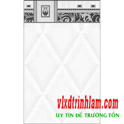 Gạch Thanh Thanh 25x40 25488V