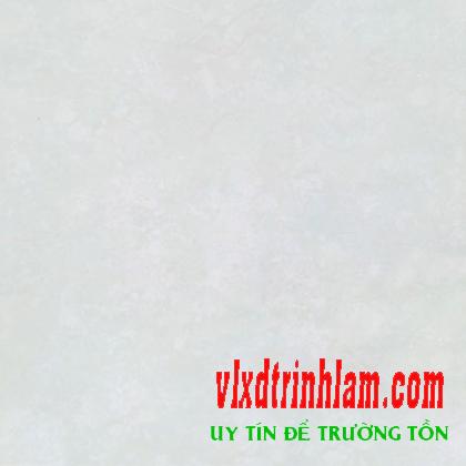 Gạch Đồng Tâm 6060PLATINUM01