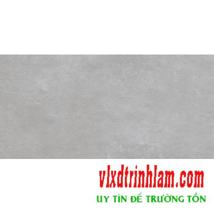 Đá đồng chất Đồng Tâm Victoria002