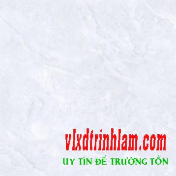 Đá bóng kính toàn phần Ý Mỹ P68009