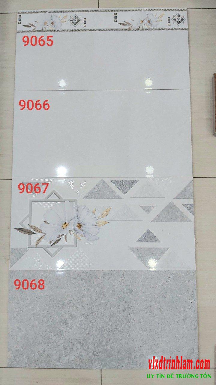 Gạch ốp tường Prime 300x600 mm 9066