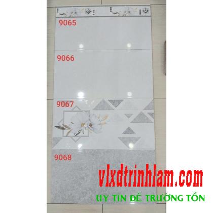 Gạch ốp tường Prime 300x600 mm 9066