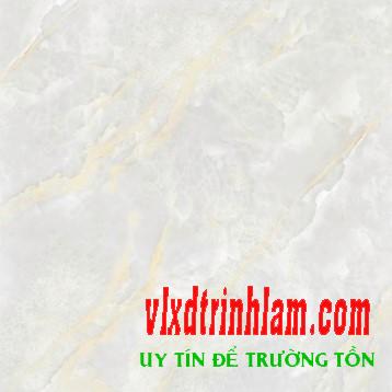 Granite bóng kính toàn phần Ý Mỹ P68004