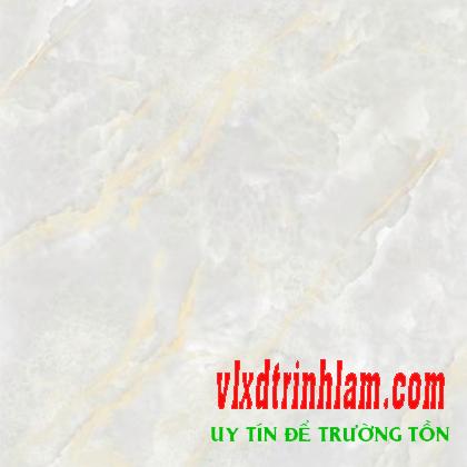 Granite bóng kính toàn phần Ý Mỹ P68004