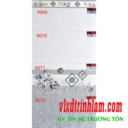 Gạch ốp tường Prime 300x600 mm 9070