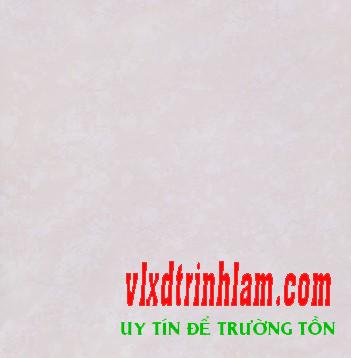 Gạch Đồng Tâm 6060PLATINUM02
