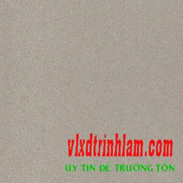 Gạch Đồng Tâm 3030TIENSA003