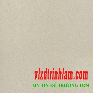 Gạch Đồng Tâm 3030TIENSA001