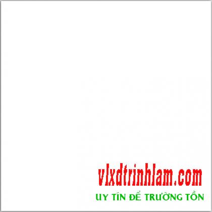 Gạch 600x600 PRIME trắng trơn 9044