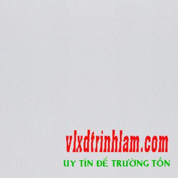 Gạch Đồng Tâm 60x60 6060VENUS001