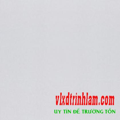 Gạch Đồng Tâm 60x60 6060VENUS001