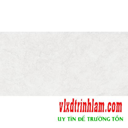 Gạch ốp tường Prime 300x600 mm 9053 nhạt