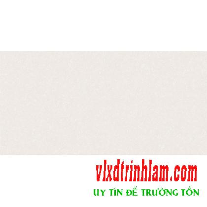 Gạch ốp tường Prime 300x600 mm 9079 nhạt