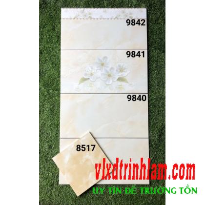 Gạch ốp tường Prime 300x600 mm 9842