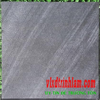 Gạch lát nền Viglacera AZ3-GM6603