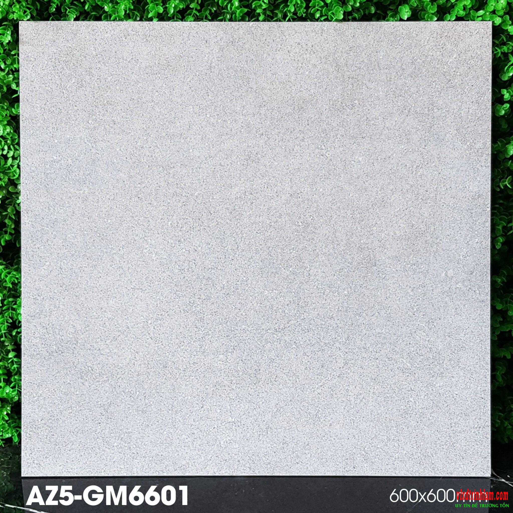 Gạch lát nền Viglacera AZ5-GM6601