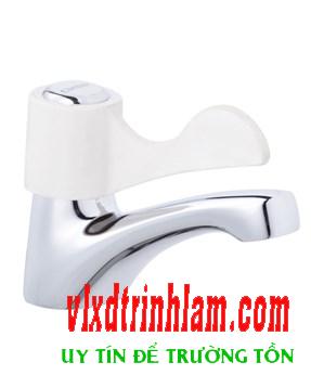 Vòi lavabo lạnh Caesar B027C