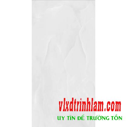 Gạch KTS Thanh Thanh 30x60 C-3603