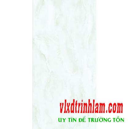 Gạch KTS Thanh Thanh 30x60 C-3604