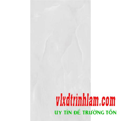 Gạch KTS Thanh Thanh 30x60 C-3606