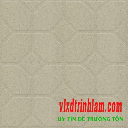 Gạch lát sân đá Granite Thanh Thanh 40x40 CTG4011