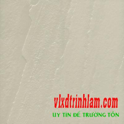 Gạch lát sân đá Granite Thanh Thanh 40x40 CTG4500