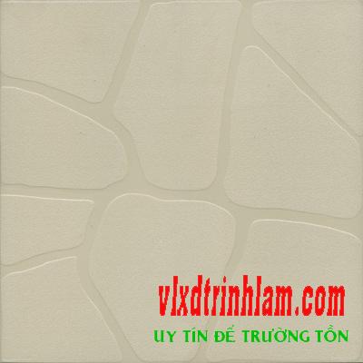 Gạch lát sân đá Granite Thanh Thanh  40x40 GD4800