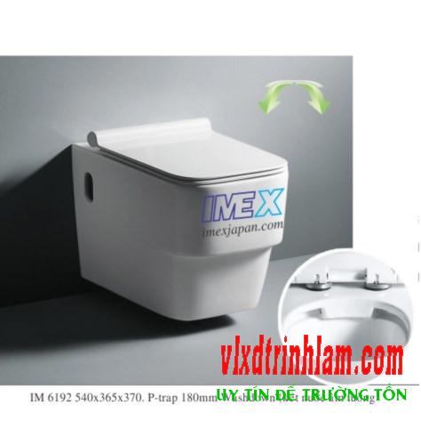 Bàn cầu Imex Việt Nhật IM6192