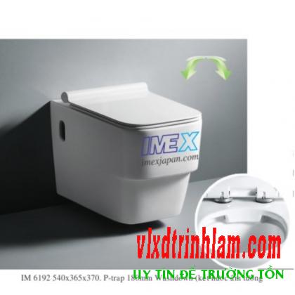 Bàn cầu Imex Việt Nhật IM6192