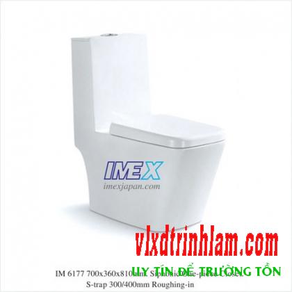 Bàn cầu Imex Việt Nhật IM6177